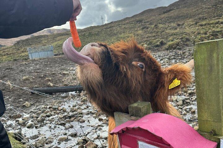 Recorrido privado de un día por las Tierras Altas de Escocia desde Edimburgo