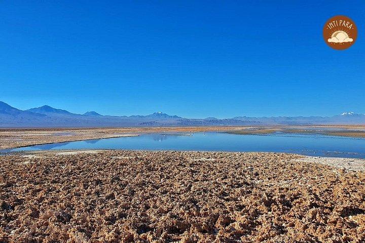 Red Stones and Altiplanic Lagoons