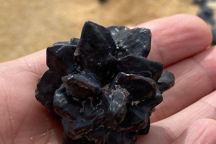 カイロまたはギザから白砂漠と黒砂漠を巡る1泊2日
