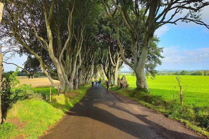 ベルファストから小グループ巨人のコーズウェイデイツアー