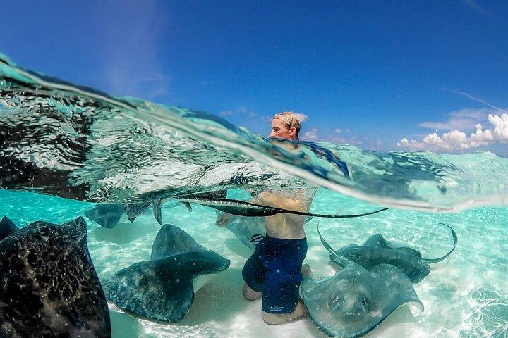 Cayman Adventure Stingrays Seestern plus Kristallhöhlen