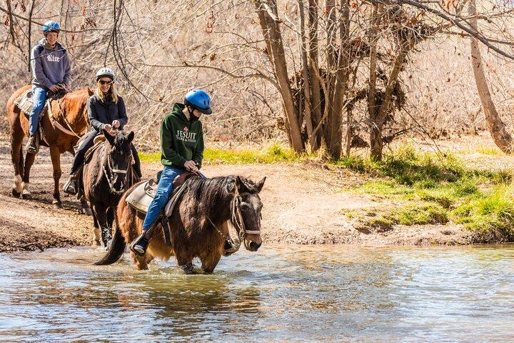 セドナのデッドホースランチでの川渡り乗馬