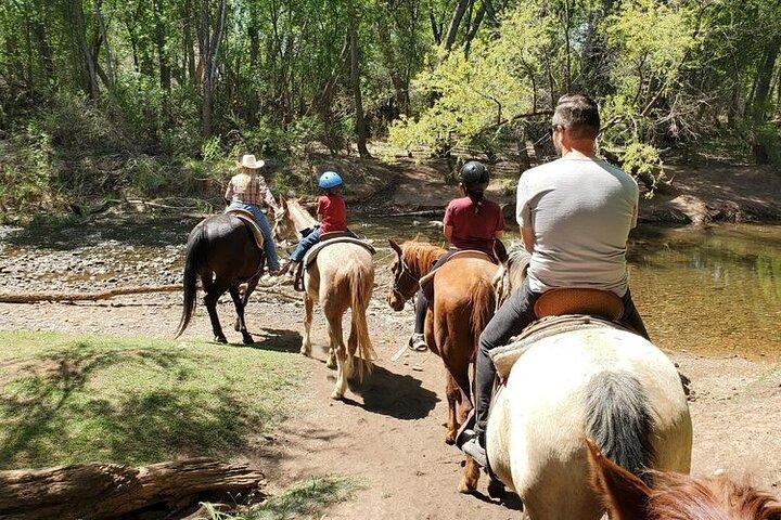 セドナのデッドホースランチでの川渡り乗馬