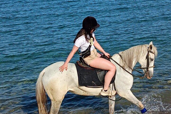 Paseo a caballo por la playa de 1 hora en Sharm El Sheikh