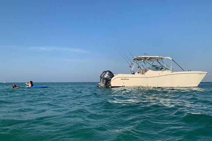 Anna Maria Island 2hr Private Sandbar Tour