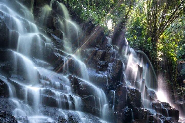 Bali Swing, Bosque de Monos y Cascadas de Ubud - Tour Privado