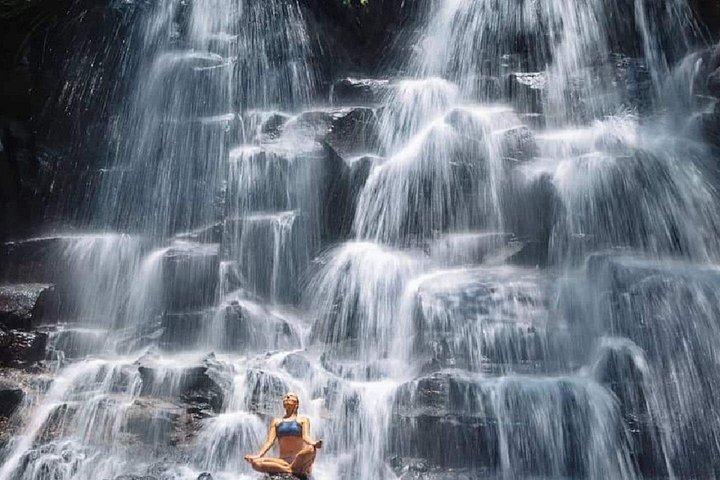 Bali Swing, Bosque de Monos y Cascadas de Ubud - Tour Privado