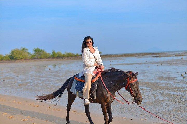 Krabi: Small-Group Beachfront Horseback Ride