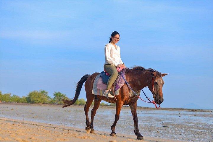 Krabi: Small-Group Beachfront Horseback Ride