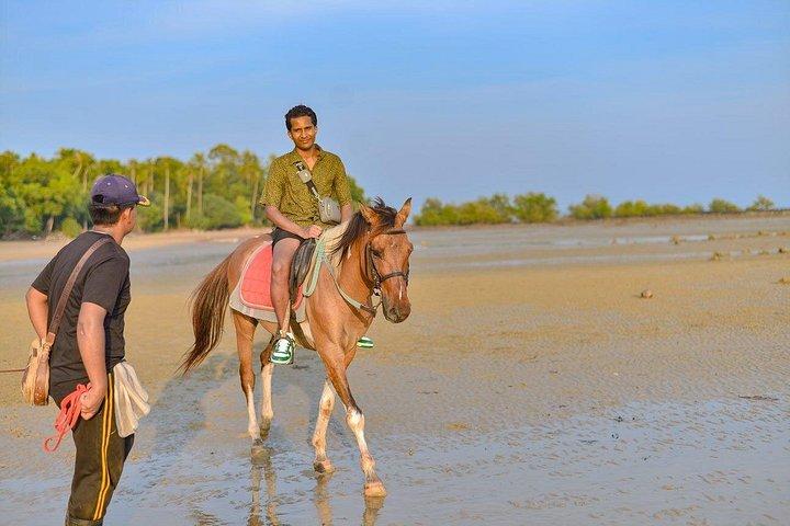 Krabi: Small-Group Beachfront Horseback Ride