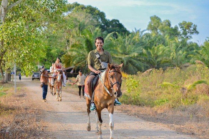 Krabi: Small-Group Beachfront Horseback Ride