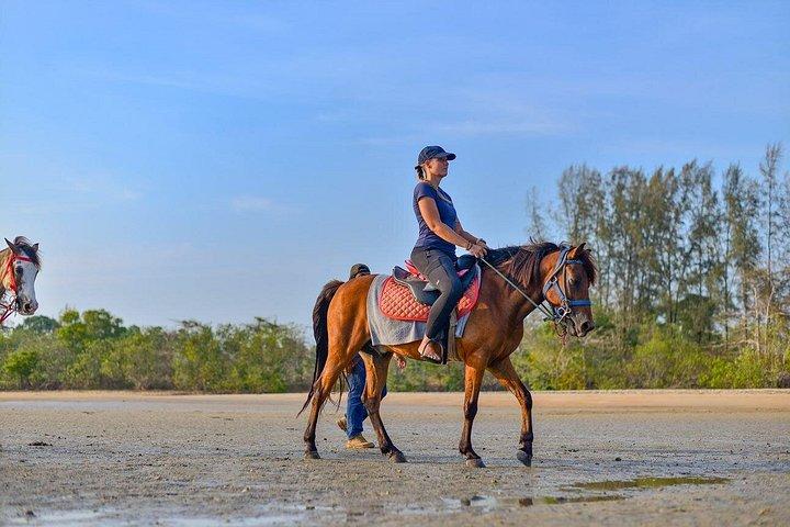 Krabi: Small-Group Beachfront Horseback Ride