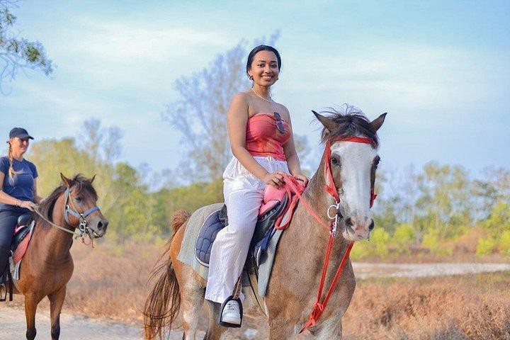Krabi: Small-Group Beachfront Horseback Ride