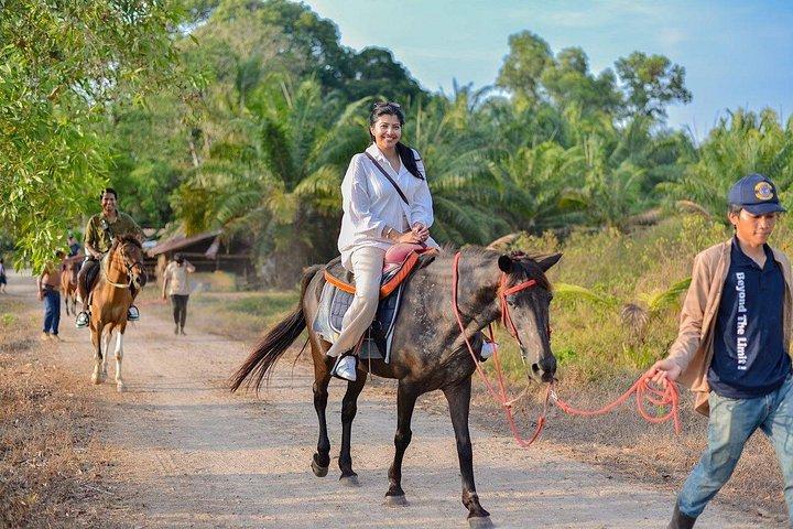 Krabi: Small-Group Beachfront Horseback Ride