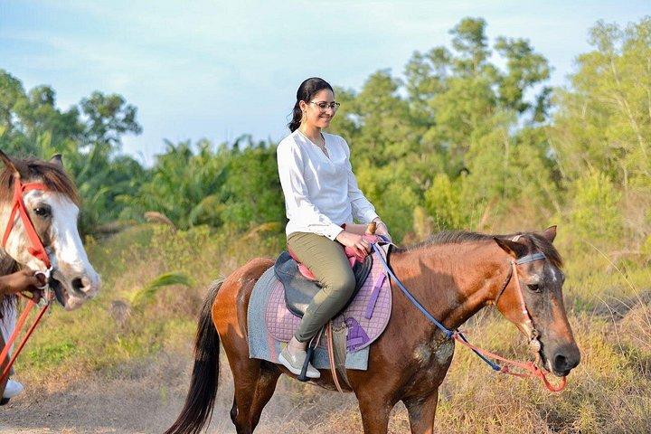 Krabi: Small-Group Beachfront Horseback Ride