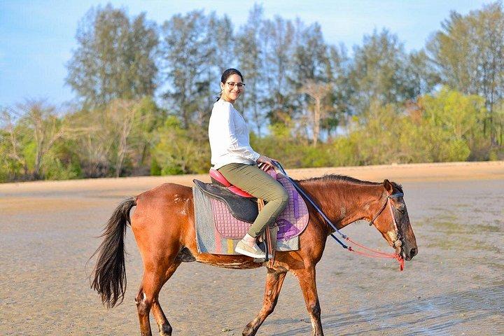 Krabi: Small-Group Beachfront Horseback Ride