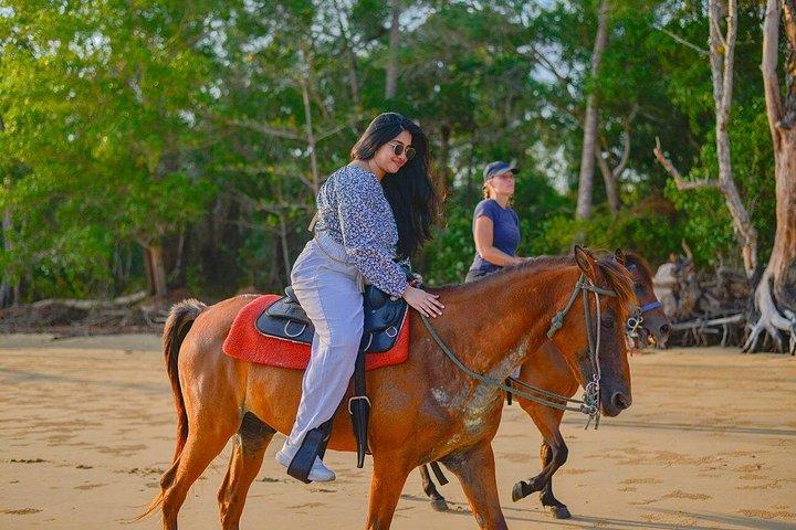 Krabi: Small-Group Beachfront Horseback Ride