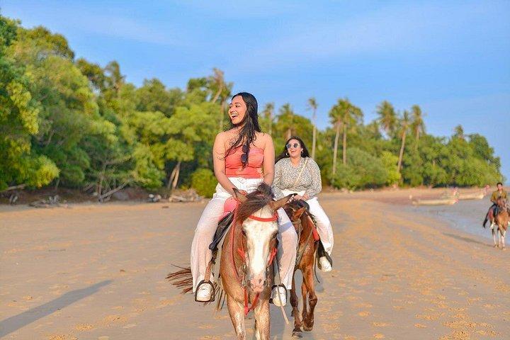 Krabi: Small-Group Beachfront Horseback Ride
