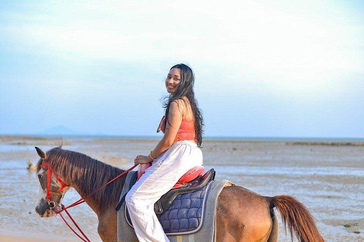 Krabi: Small-Group Beachfront Horseback Ride