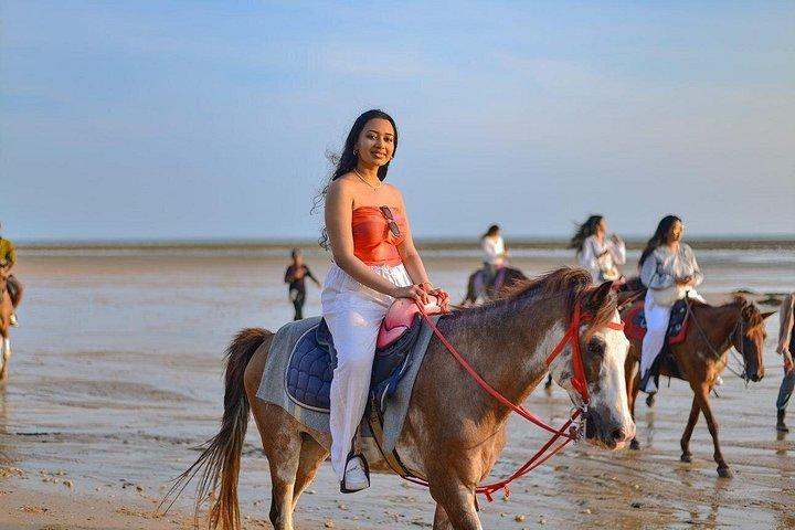 Krabi: Small-Group Beachfront Horseback Ride