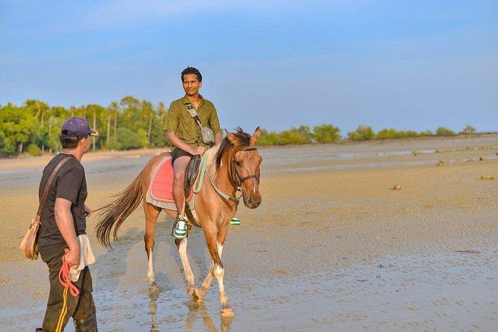 Krabi: Small-Group Beachfront Horseback Ride