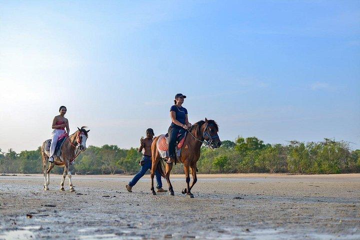 Krabi: Small-Group Beachfront Horseback Ride