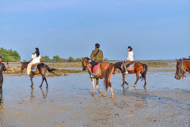 Krabi: Small-Group Beachfront Horseback Ride