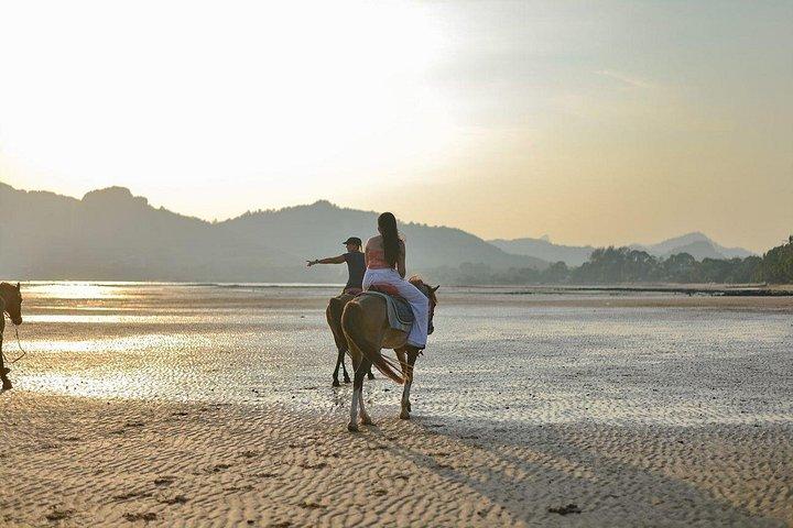 Krabi: Small-Group Beachfront Horseback Ride