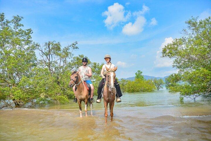 2 Hour Horse Riding Tour On The Beach Krabi