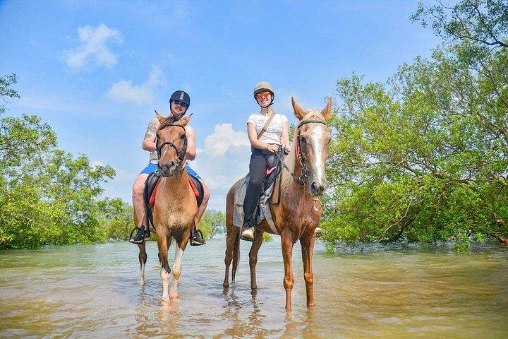 クラビの2時間乗馬ツアー