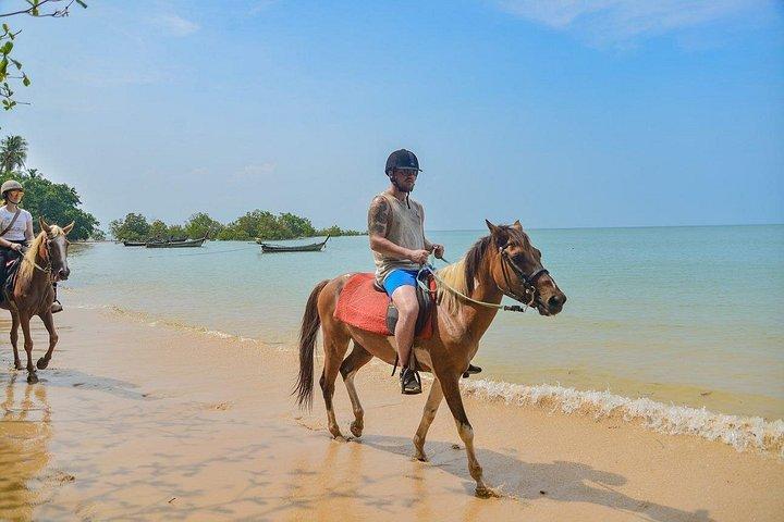クラビの2時間乗馬ツアー