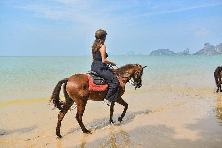 クラビの2時間乗馬ツアー