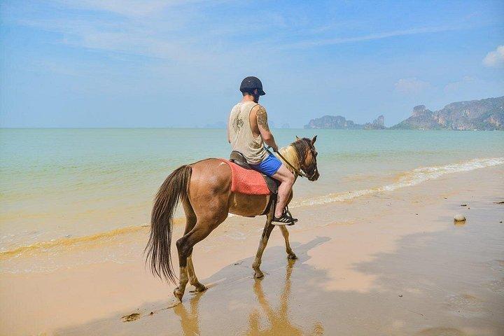 クラビの2時間乗馬ツアー
