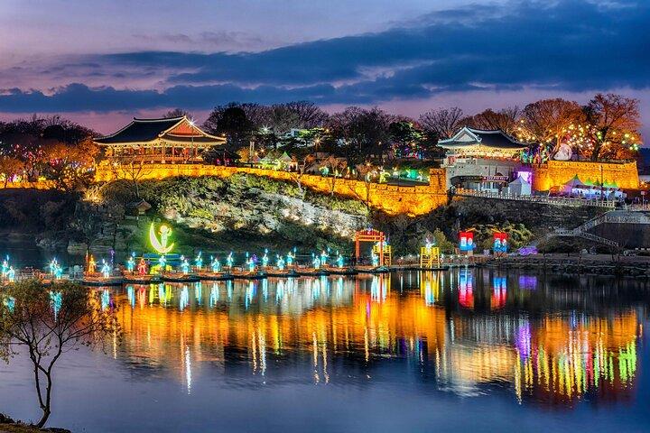Herfst Jinju Namgang Lantern Festival & Pink Muhly Tour FR Busan