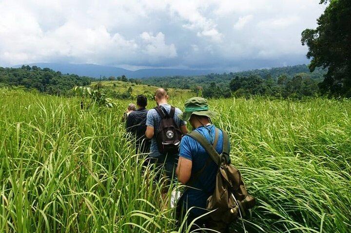 Banguecoque: Hotéis perto de Khao Yai Nature Trails & Heaw Suwat Waterfall
