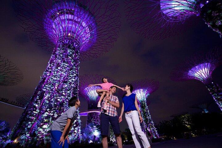Singapore Twilights with River Cruise & Light Shows