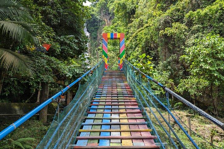 Moalboal Sardine Run, Sea Turtle e Mantayupan Falls