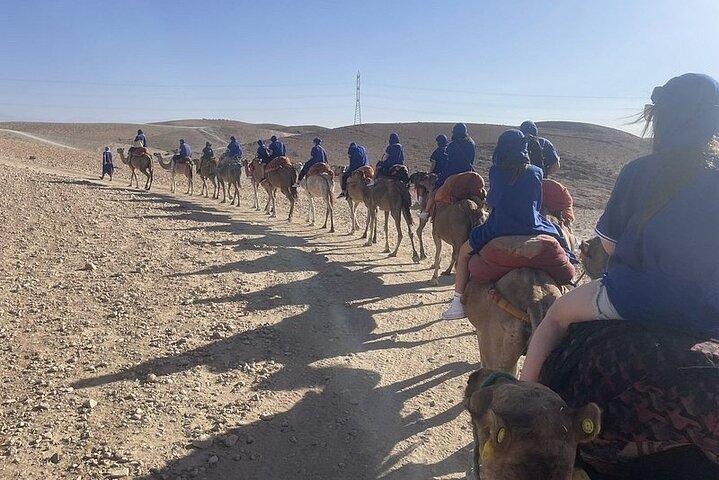 Agafay Desert from Marrakech: Quad bike, Camel ride, Dinner show