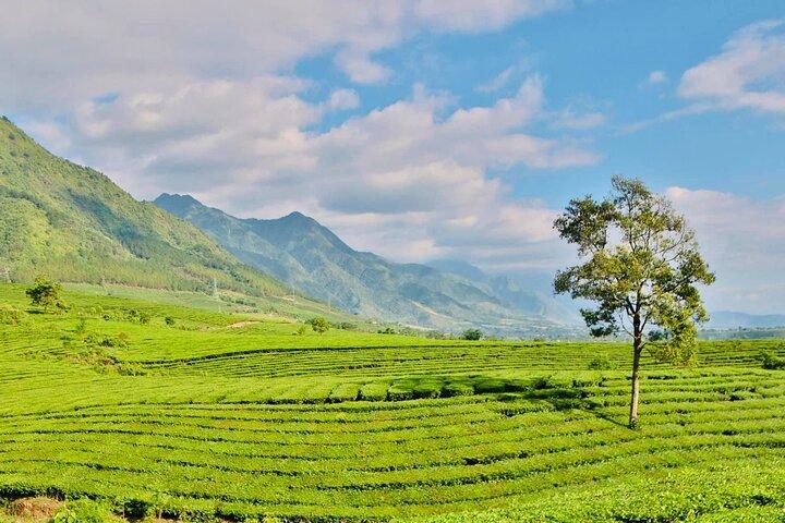 Tour privato in moto Sapa - Tea Hill