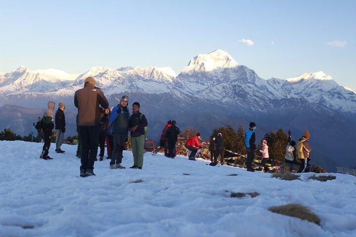 7-tägige Tour mit Poon Hill Trek und Chitwan Jungle Safari