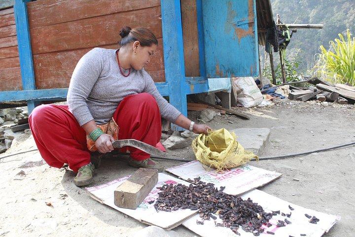 5 days Poon Hill Trek with Half Day Seti River Rafting