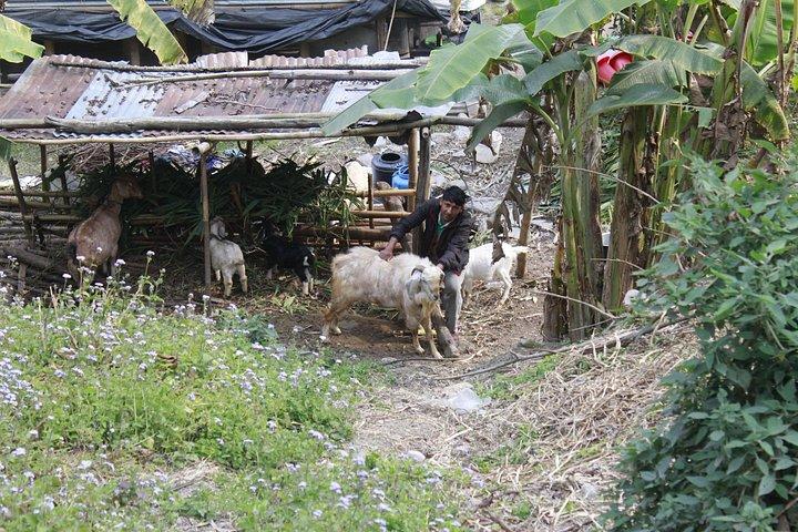 5 days Poon Hill Trek with Half Day Seti River Rafting