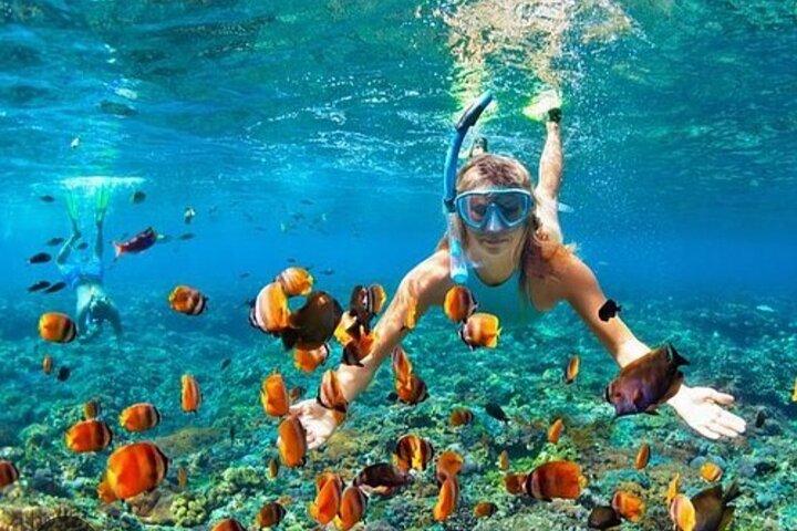 Schnorchel- und Shoppingtour in Montego Bay mit Abholung