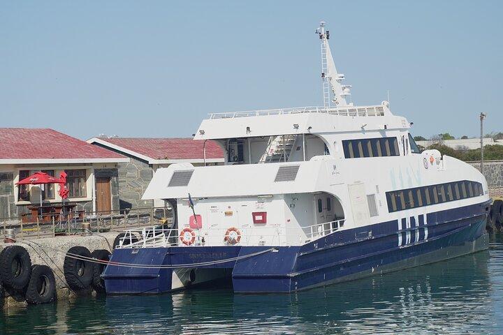 Robben Island Tour mit ehemaligem Fortgeschrittener