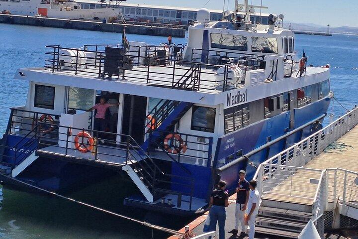 Robben Island Tour mit ehemaligem Fortgeschrittener