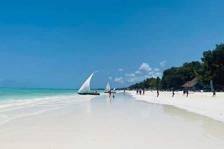 Krydd- + byrundtur + Akvarium + Kendwa Beach
