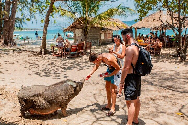 Varkenseiland snorkel- en sightseeingtour per speedboot vanuit Koh Samui