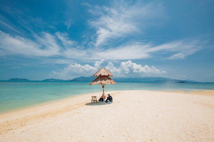サムイ島からスピードボートでピッグアイランドでの豚の餌やり、カヤック、シュノーケリング旅行