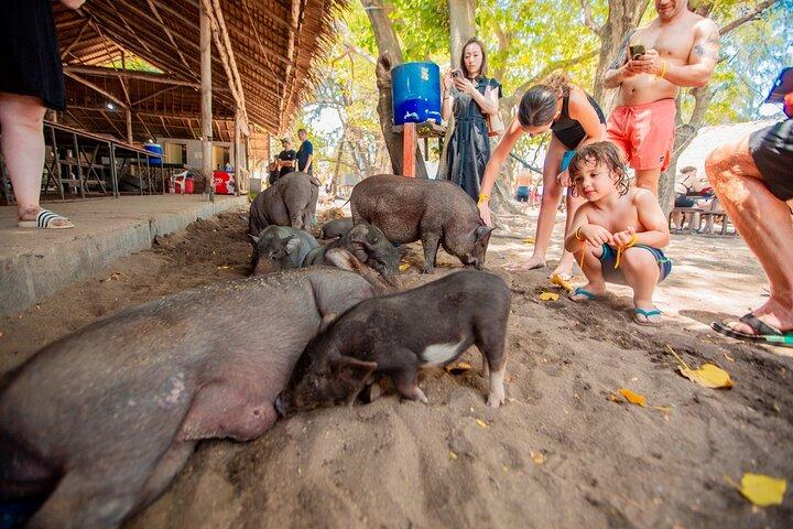 Schnorchelausflug zu den Koh Samui-Inseln mit dem Schnellboot