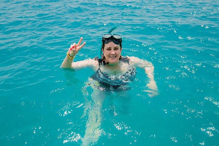 サムイ島からスピードボートでピッグアイランドでの豚の餌やり、カヤック、シュノーケリング旅行